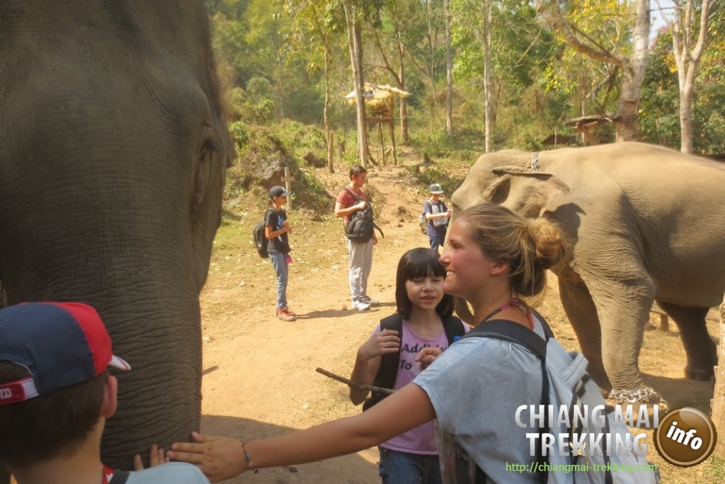 4-days/3-nights Trekking Tour | Chiang Mai Trekking | The best trekking in Chiang Mai with Piroon Nantaya